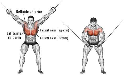  gif|Os 5 melhores exercícios para peito no crossover